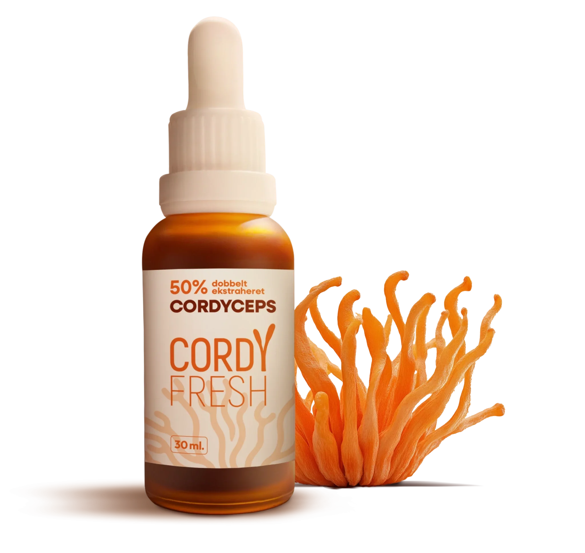 Cordyceps svamp: arter, virkning og hvad forskningen viser
