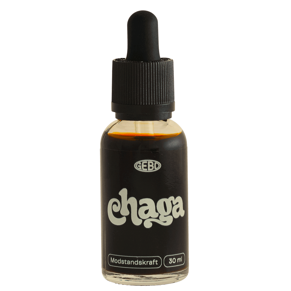 Chaga Svampeekstrakt 30ml – 20%