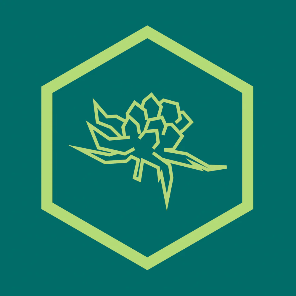 CBD Blomster