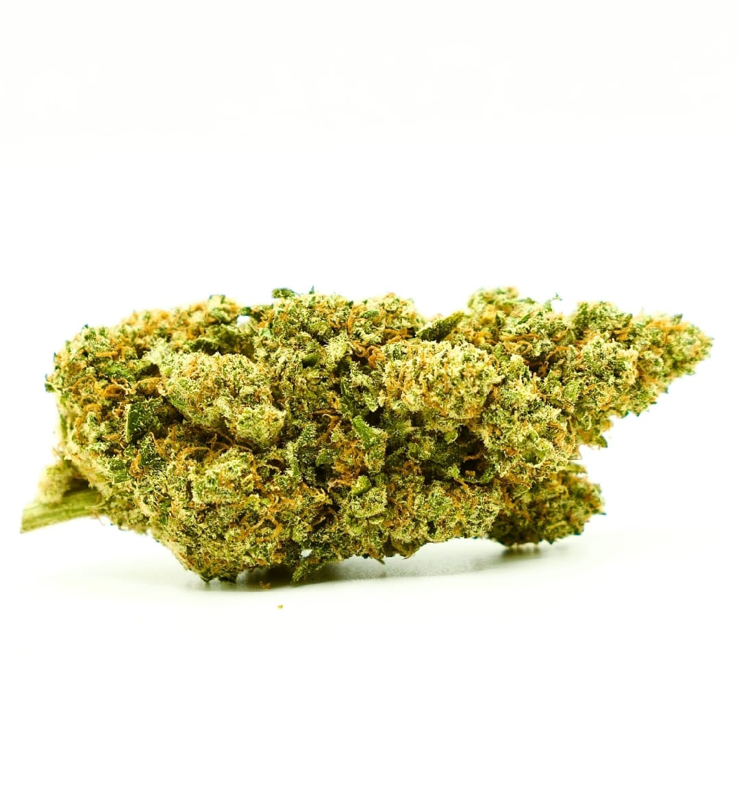 15-gram-blueberry-haze-indendors-cbd-blomst-17-19-cbd