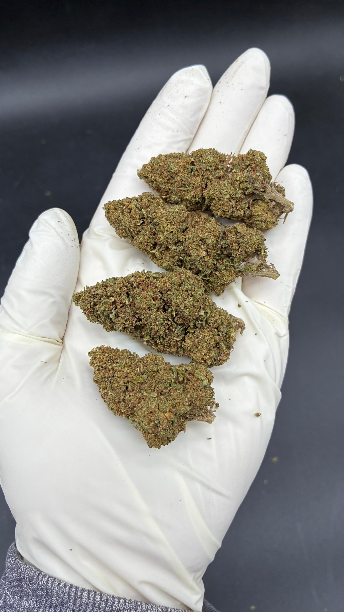 dosi-dos-15-17-cbd-ny-blomst