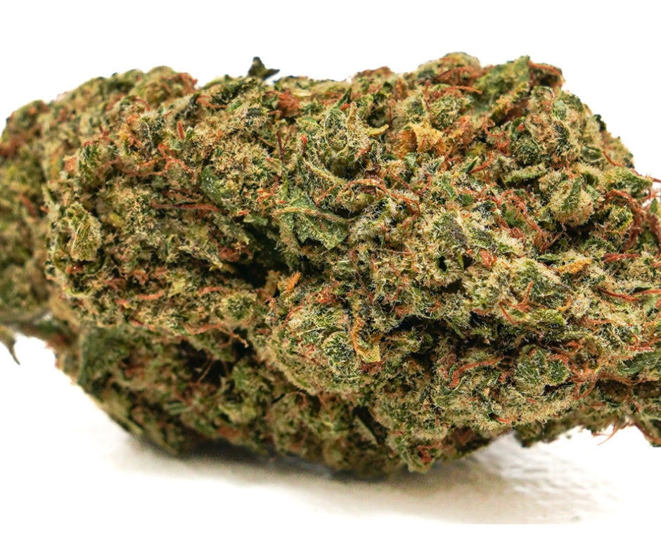 northern-lights-indendors-cbd-blomst-17-19-cbd