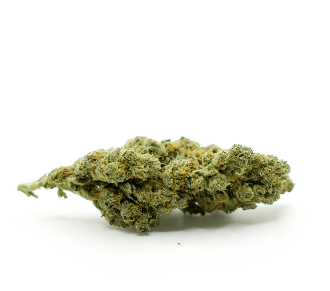 10-gram-platinum-indendors-cbd-blomst-18-20-cbd