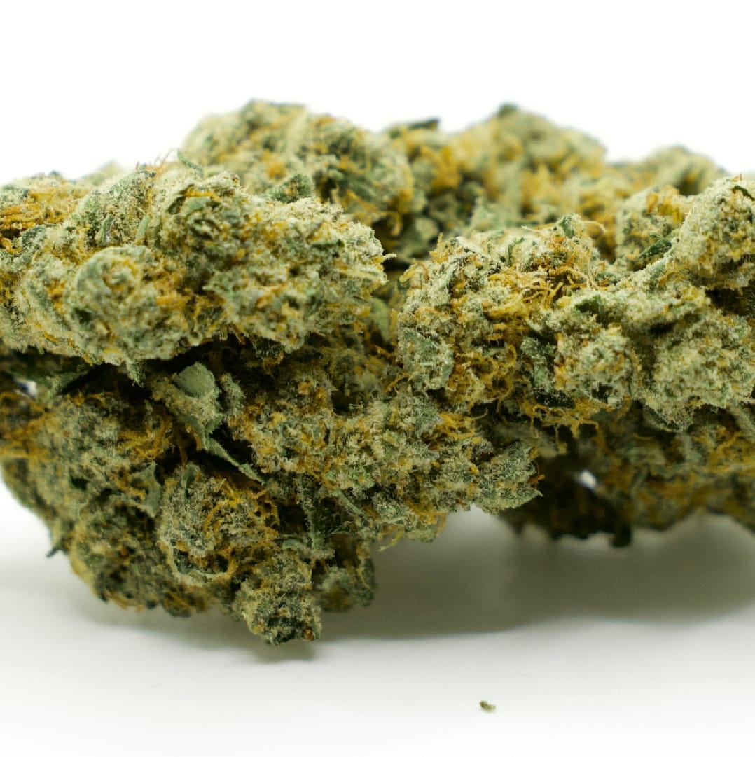 10-gram-platinum-indendors-cbd-blomst-18-20-cbd