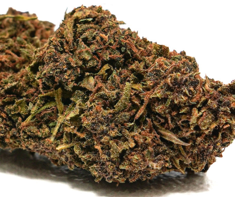 purple-haze-indendors-cbd-blomst-16-18-cbd