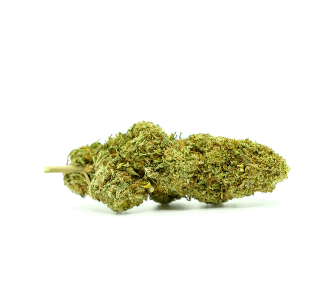 15-gram-watermelon-indendors-cbd-blomst-15-19-cbd
