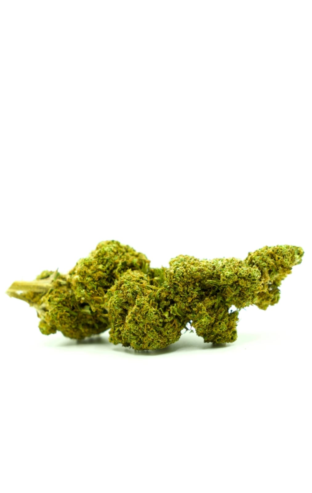 candy-kush-19-21-cbd