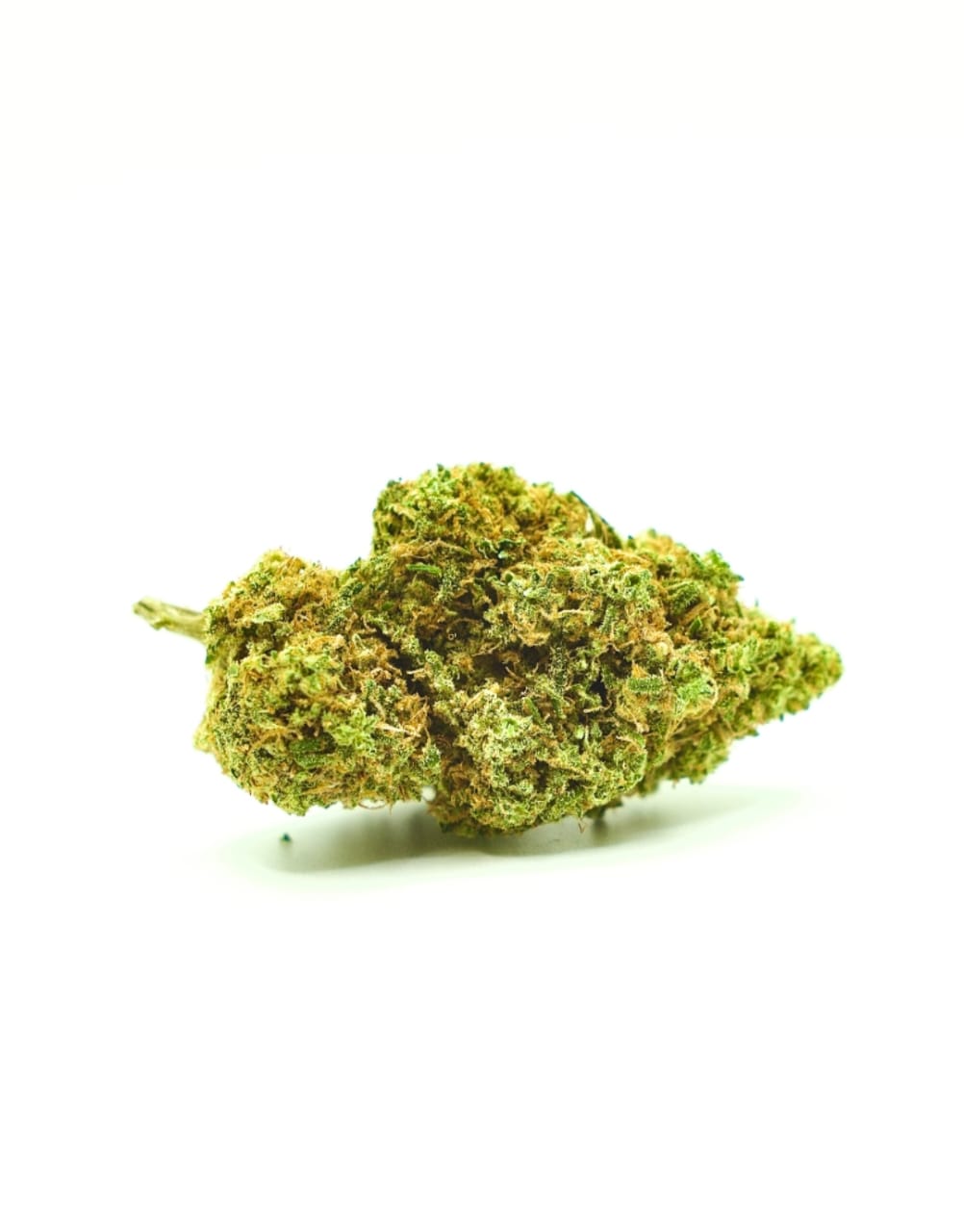 mango-kush-17-21-cbd