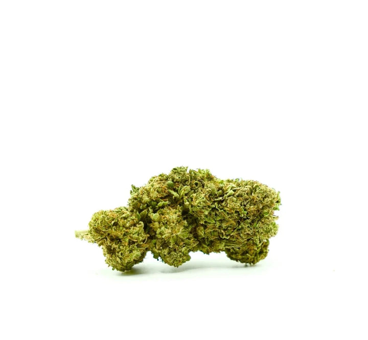 25 Gram  Mimosa – Indendørs CBD Blomst (15–17 % CBD)