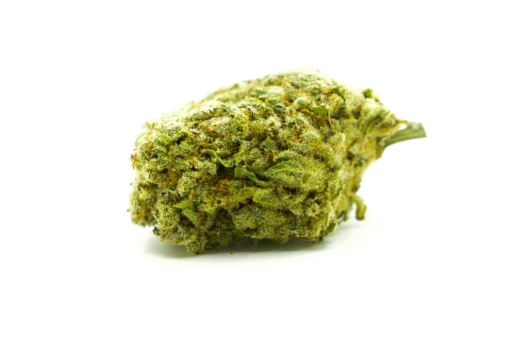 indendors-cheese-15-cbd