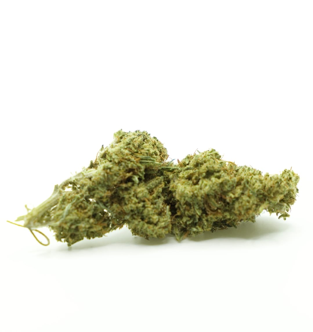 cheese-11-15-cbd