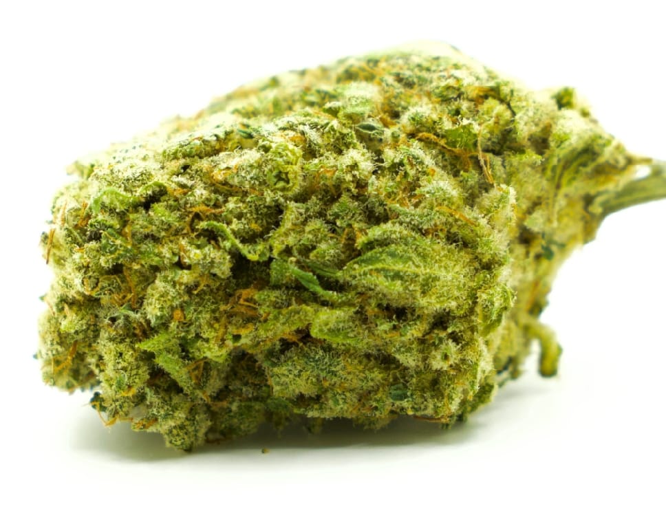northern-lights-17-21-cbd