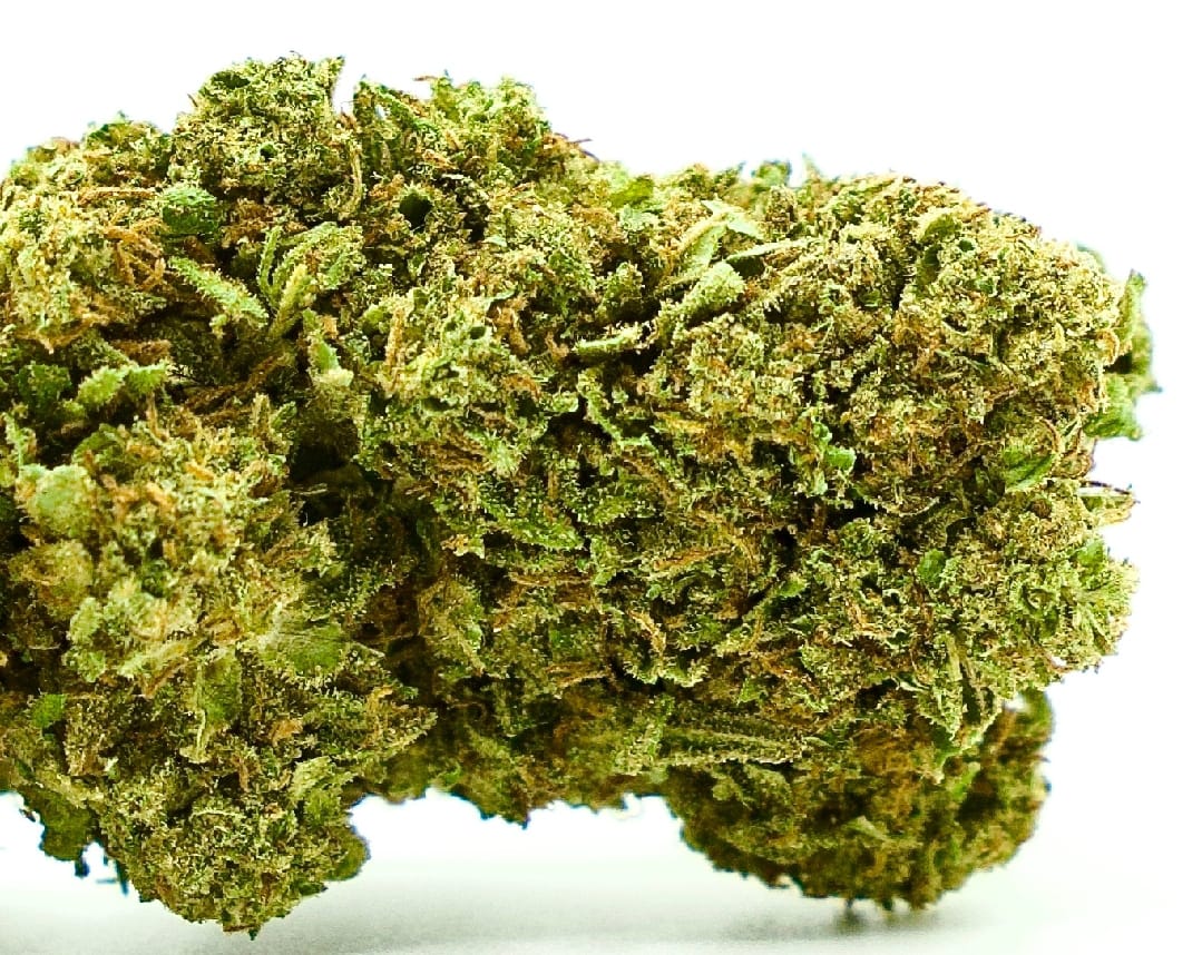 mimosa-15-17-cbd