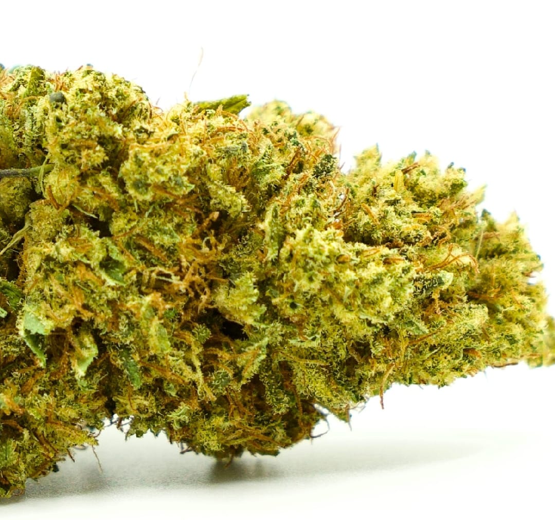 limoncello-15-17-cbd
