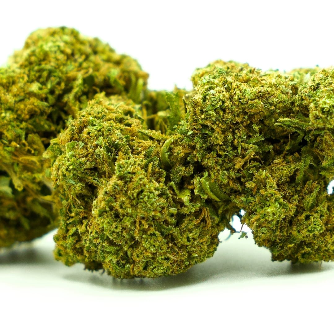 candy-kush-19-21-cbd
