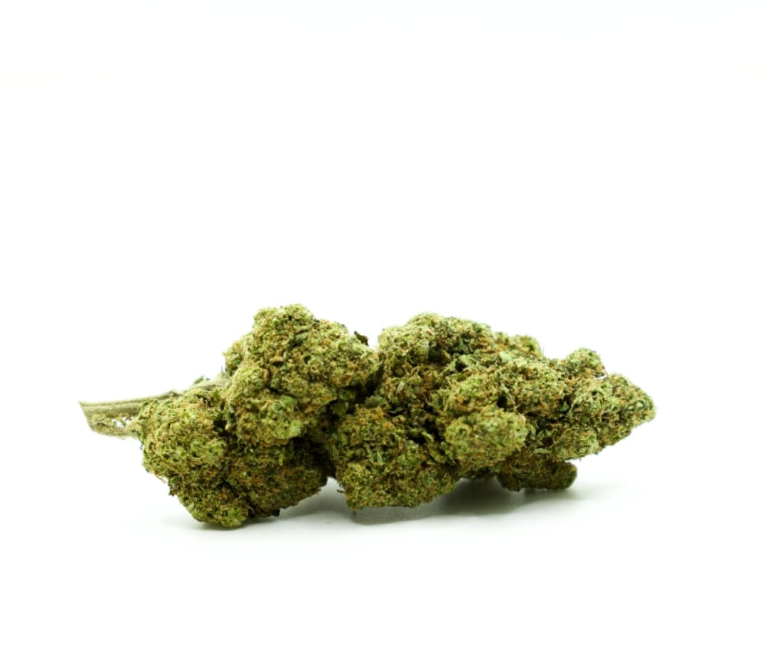 10-gram-pineapple-express-indendors-cbd-blomst-17-21-cbd