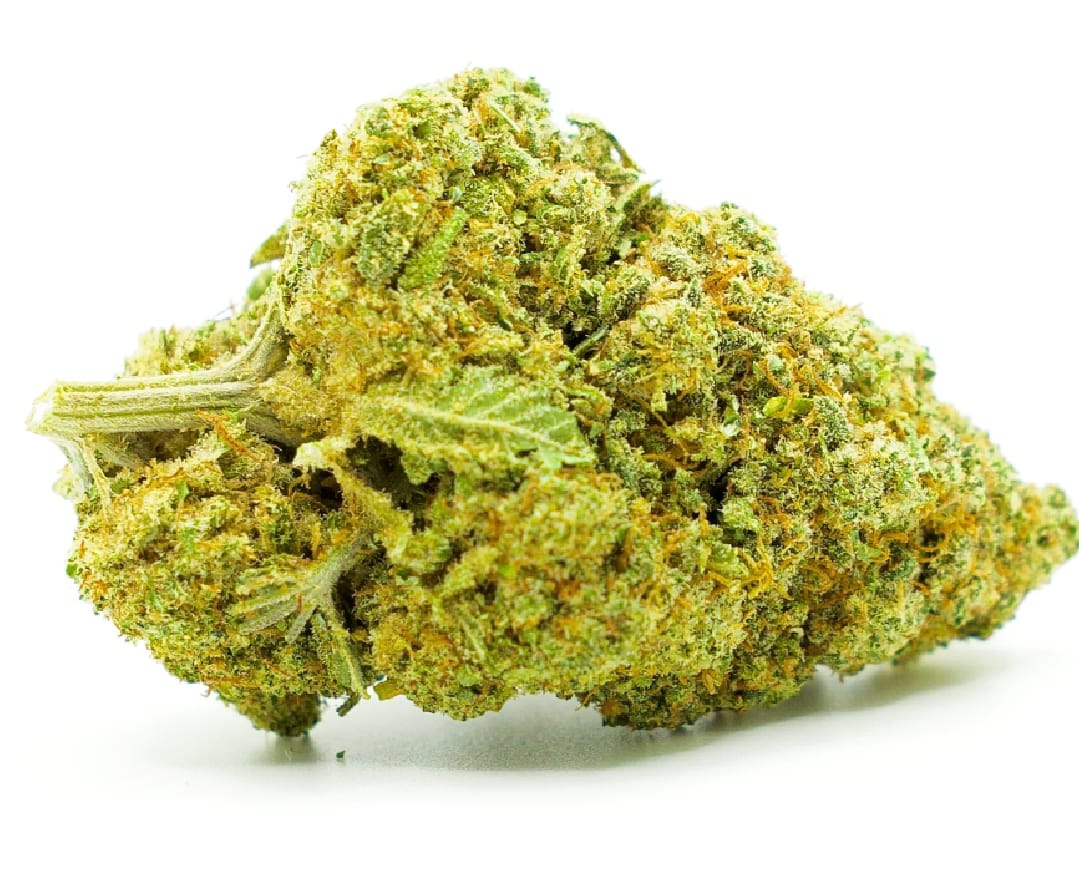 5-gram-forbidden-fruit-indendors-cbd-blomst-17-21-cbd